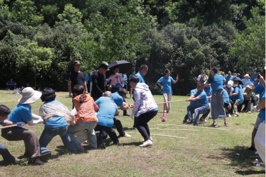 1691215516120151.png image.png